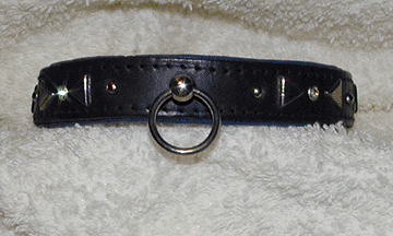 dog_collar_stars_chrystals